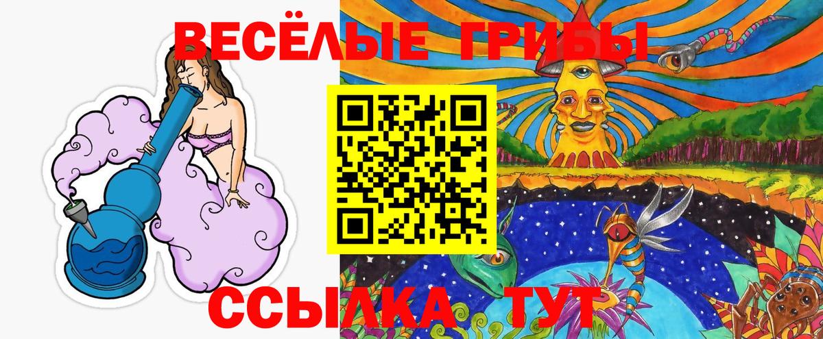 Галлюциногенные грибы Psilocybe  Вход с VPN  Павловский Посад 